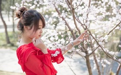 狠狠撸在线影院网址